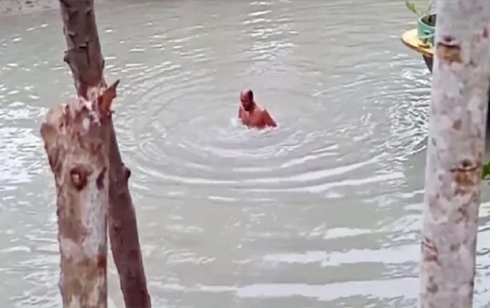 ৫০০ টাকা বাজিতে খালে ১০০ ডুব, প্রাণ হারালেন এক কৃষক